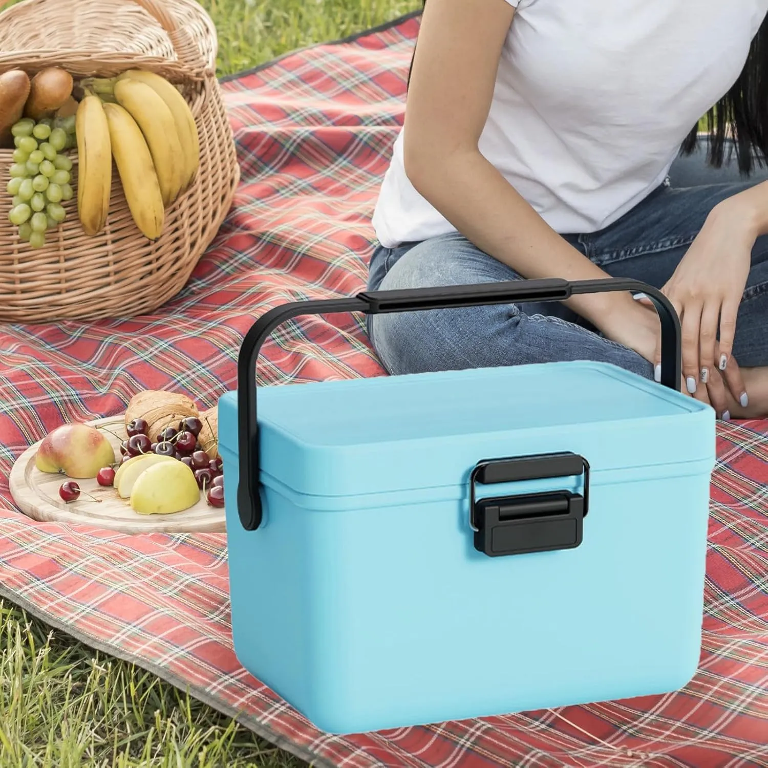 Insulated Mini Ice Chest with Portable Handles, 4qt Small Hard Cooler Lunch Box for Car Camping Picnic Beach Outdoor Cooler Refrigerated Box for Beach, Picnic, Camping, Boat
