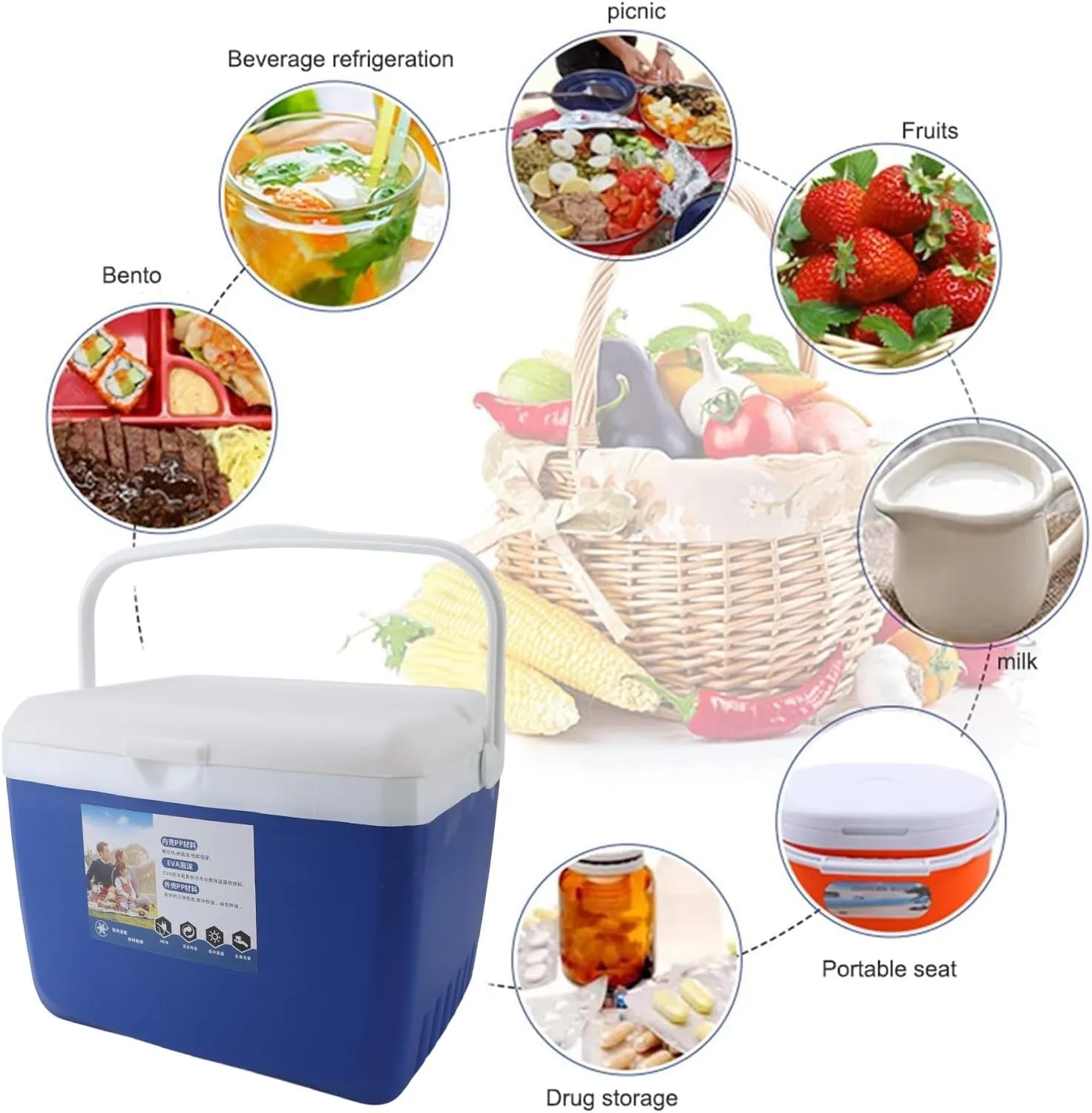 Insulated Portable Cooler, Insulated Cooler Lunch Box, Mini Beach Cooler Soft Lunch Bag Box, Outdoor Hard Cooler with Handles for Beach, Camping, Tailgating, Sports, 13L (Blue)