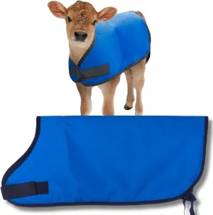 Jeffers Livestock Insulated Calf Blanket, Royal Blue, 1 Pack - 600 Denier, Winter Warm Clothes for Calf, Water Proof, Windproof Warming Blanket, Jacket, Coat - Thickened Belly Protection