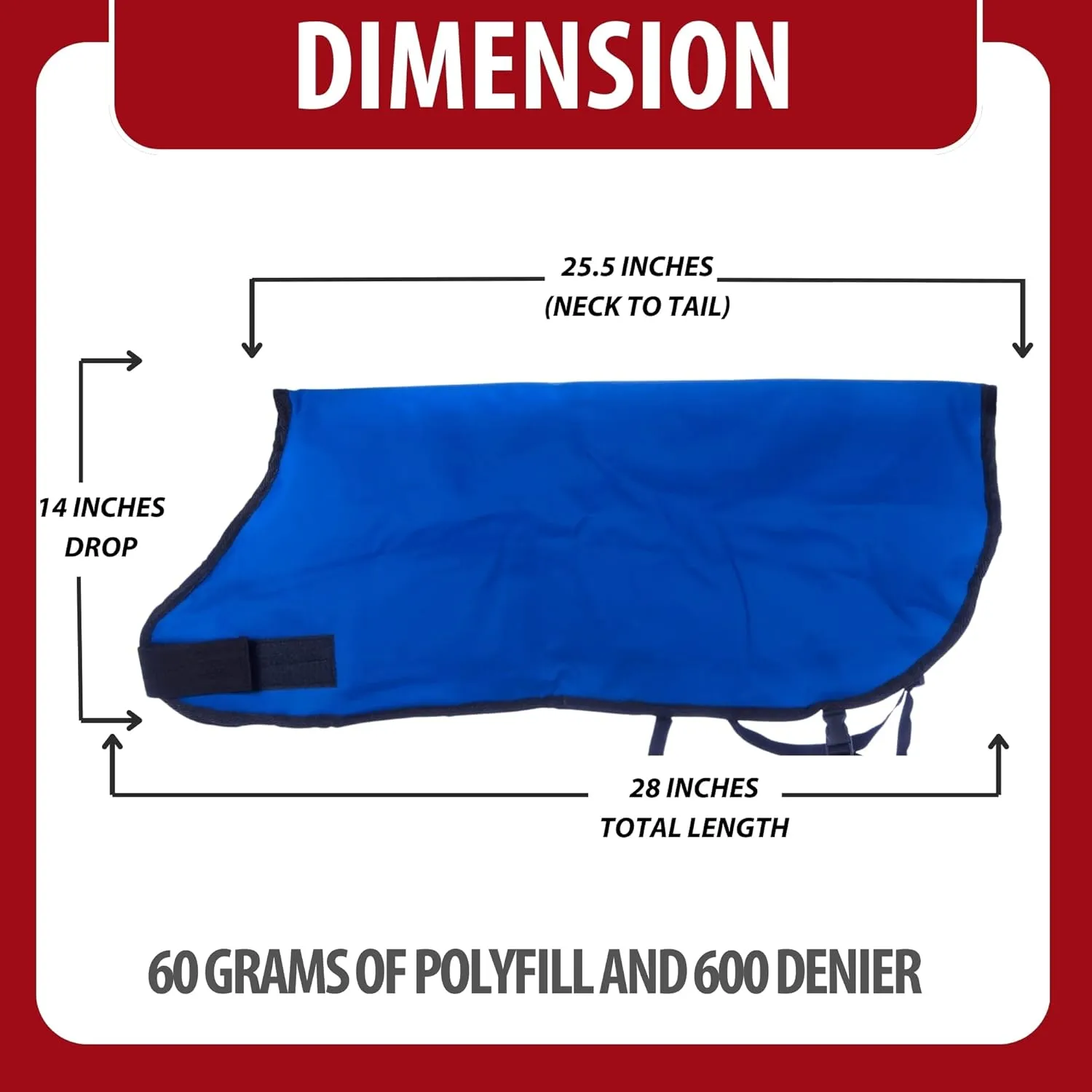 Jeffers Livestock Insulated Calf Blanket, Royal Blue, 1 Pack - 600 Denier, Winter Warm Clothes for Calf, Water Proof, Windproof Warming Blanket, Jacket, Coat - Thickened Belly Protection