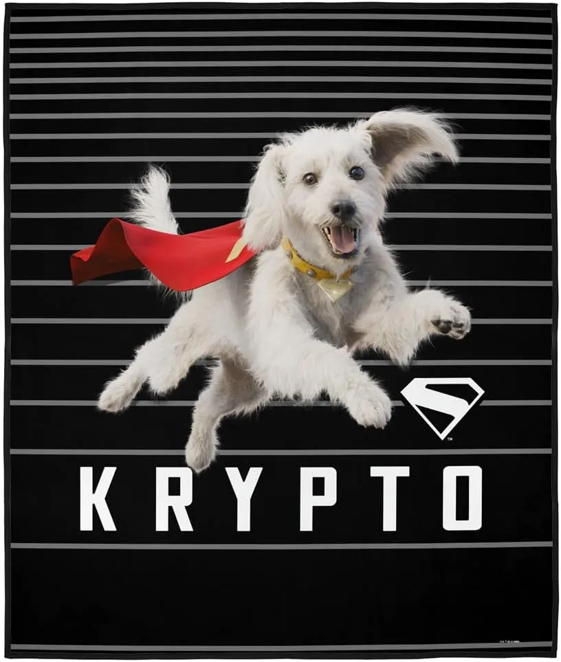 LOGOVISION Superman 2025 Krypto Lines Outdoor Blanket for Picnic, Beach, Camping, Park, Tailgate 50"x60"
