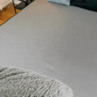 LoveShield - Waterproof Blanket