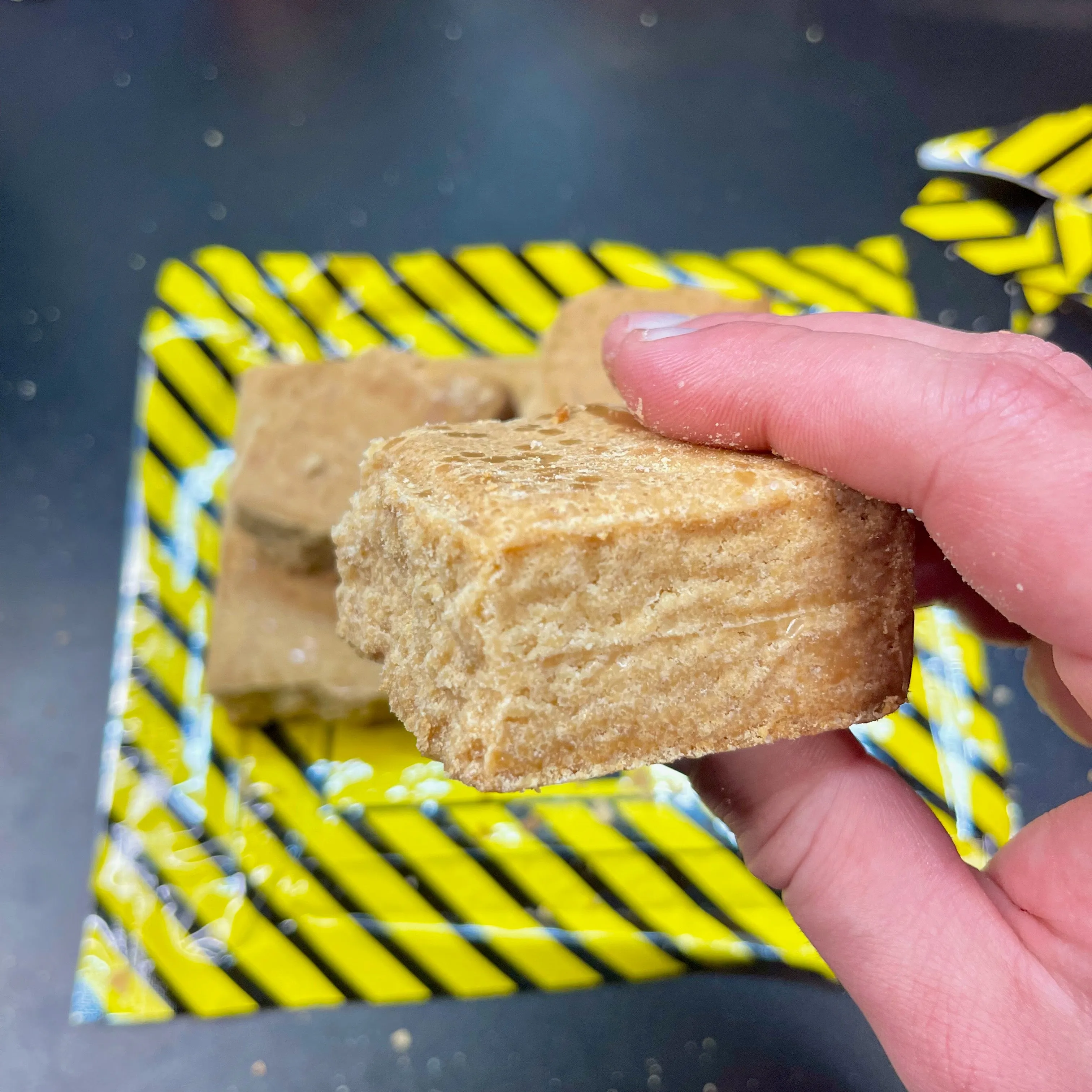 Mayday 3-Day Survival Food Supply: 9 High-Energy Emergency Ration Bars