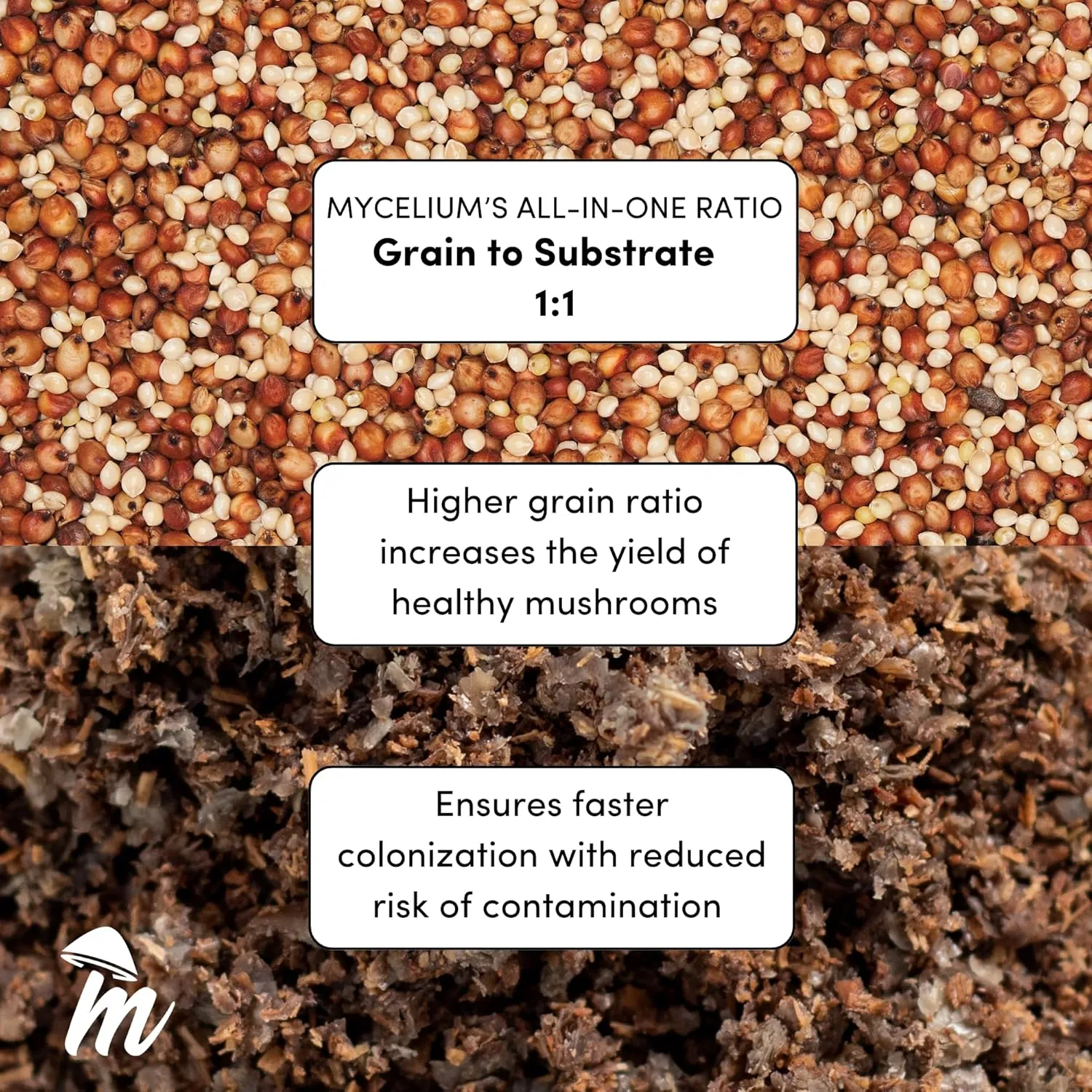 Mycelium Mushroom Growing Kit, Amauroderma Rude Gourmet I Alder & Soy Hull Substrate I High Yield Proprietary Mix I Sterile Grow Bag with Liquid Culture Syringe for Starter & Pro Home Growers, 8lbs