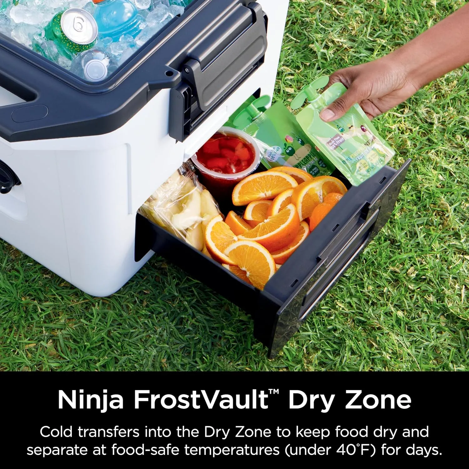 Ninja FB131WH FrostVault 30qt Hard Cooler with Dry Zone, Integrated Fridge-Temp Dry Storage Drawer, Premium Heavy-Duty Insulated Cooler, Keeps Ice for Days, Cloud White