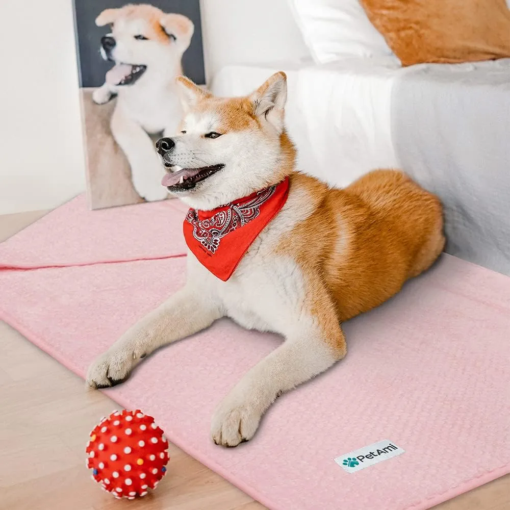 PetAmi Waterproof Dog Blanket, Leakproof XL Pet Blanket for Large Dogs, Furniture Sofa Couch Cover Protector, Fleece Cat Throw for Bed Crate Kennel, Reversible Washable Soft Plush, Twin 60x80 Pink