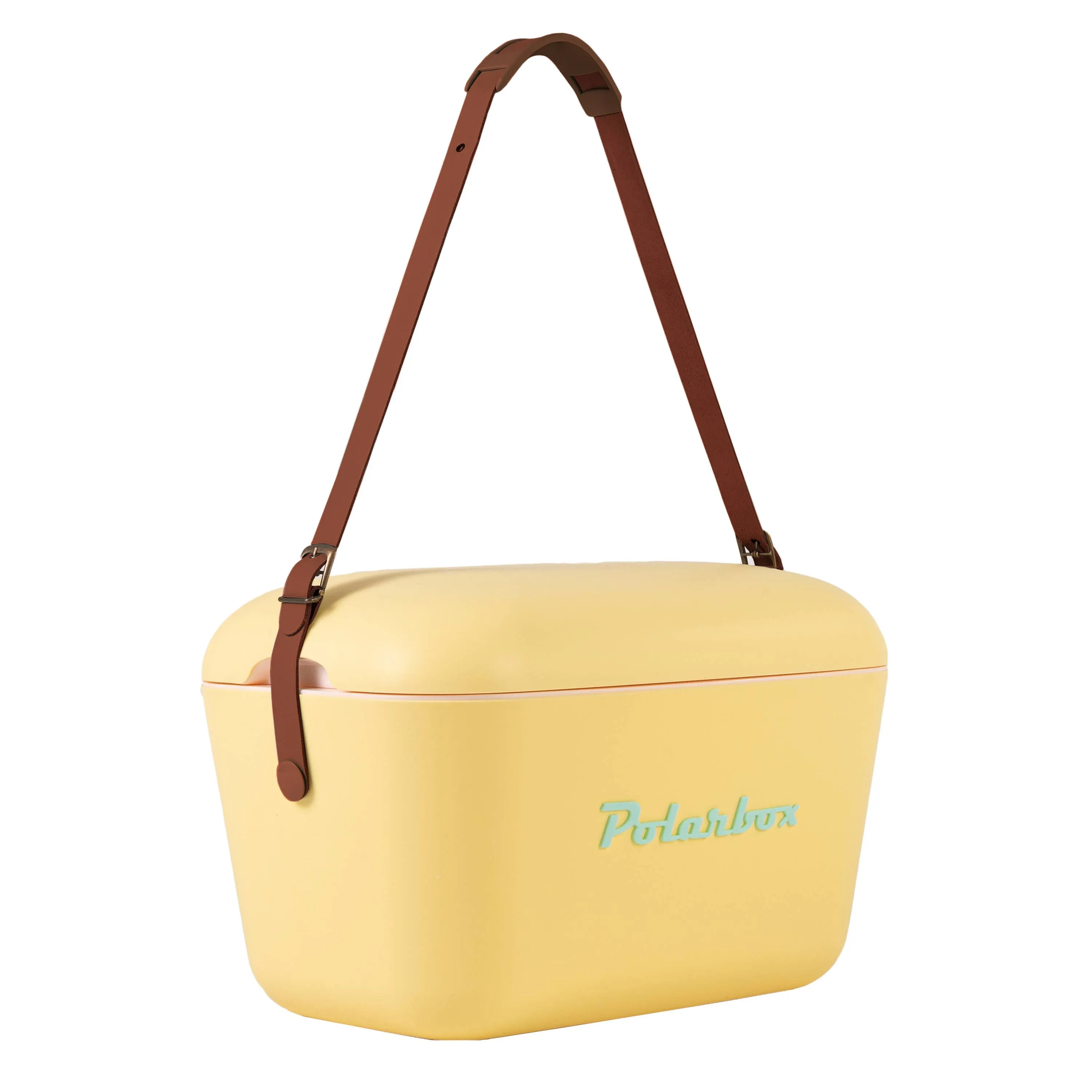 Polarbox cool box 20 L beach picnic summer retro: Purple