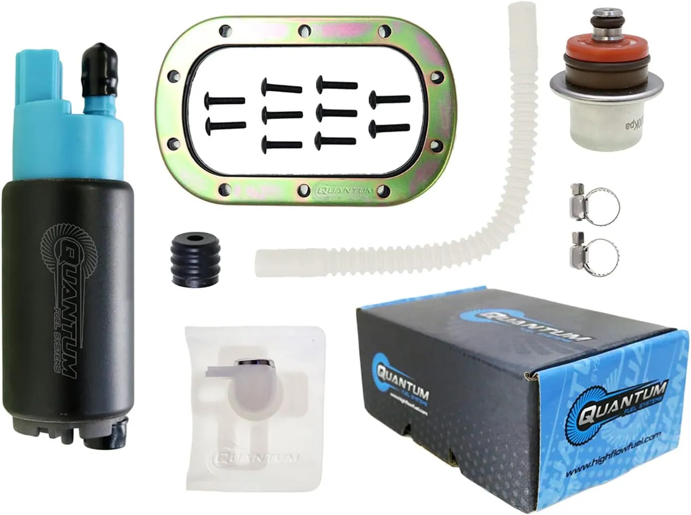 QFS Fuel Pump with Strainer Replacement for Hyosung GV250 Aquila/MS3-125/MS3-250 (2010-2018)