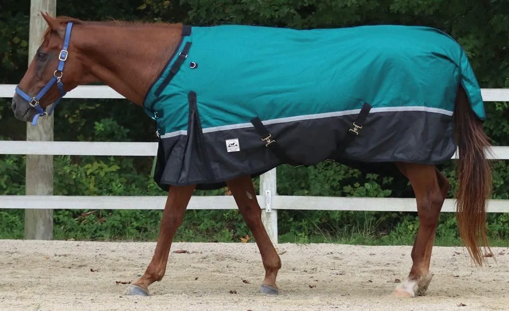 Reflect 1200 Denier Heavyweight Turnout - Adjustable Neck - Reflective Stripe - 300 Grams Fill