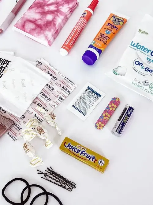 The Deluxe Purse Pouch