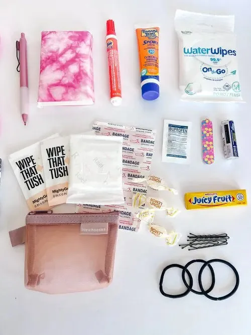 The Deluxe Purse Pouch