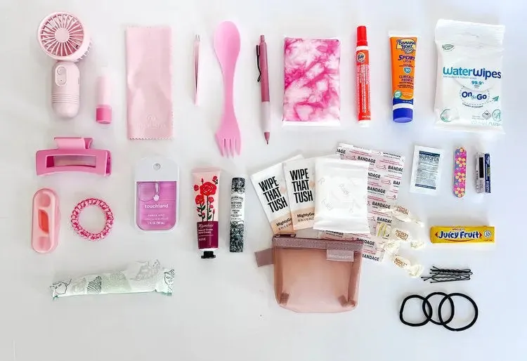 The Deluxe Purse Pouch