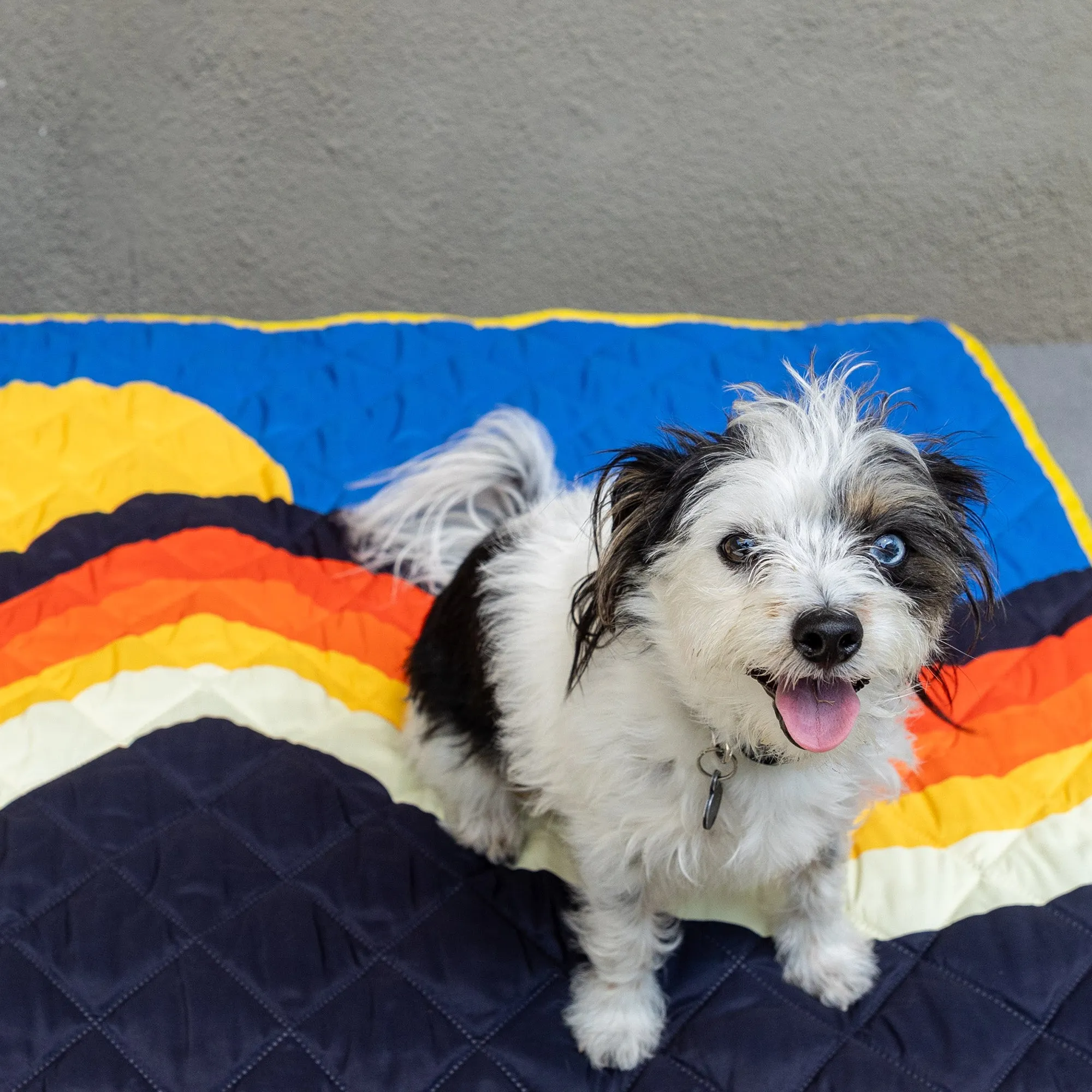 The Little G Blanket