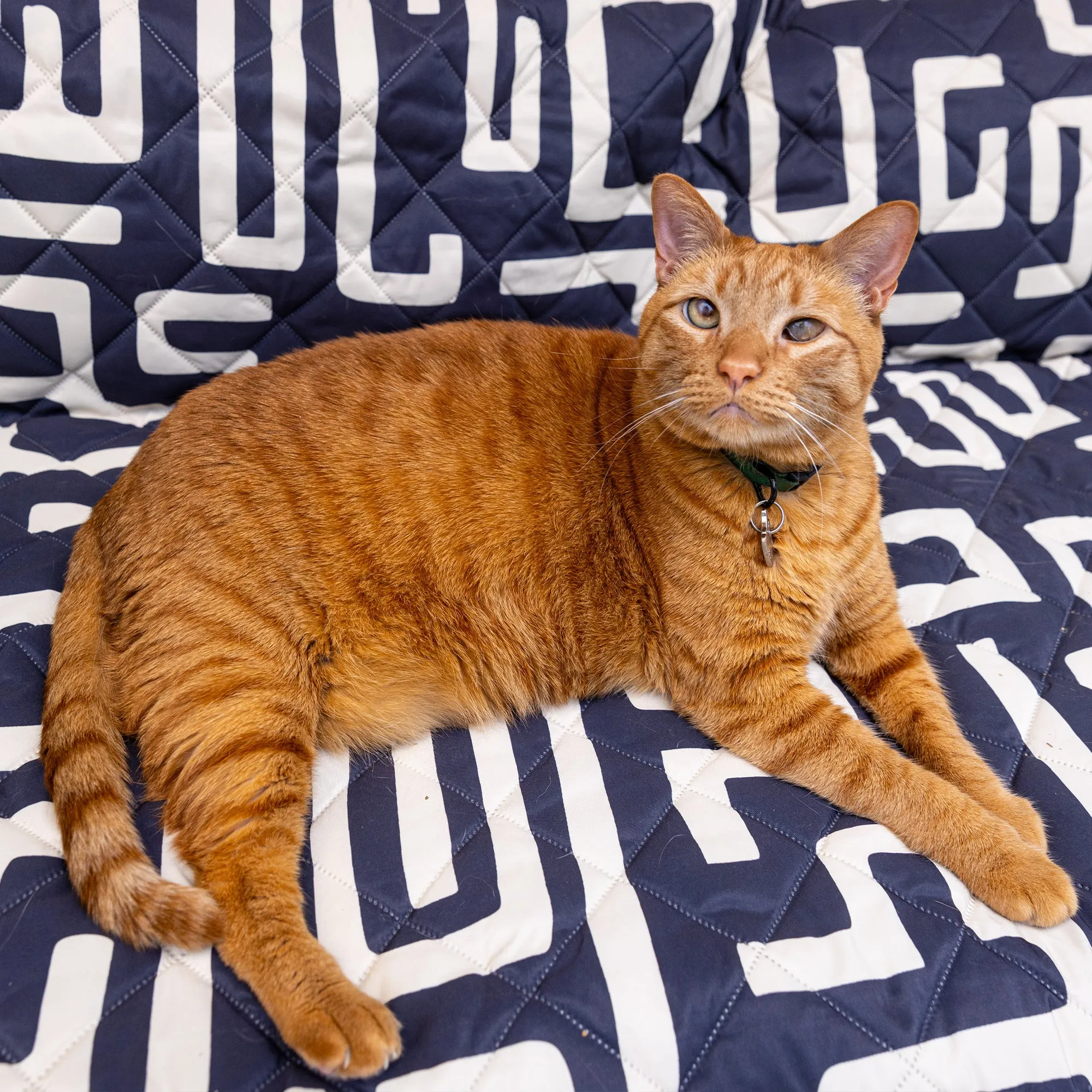The Matzko Blanket