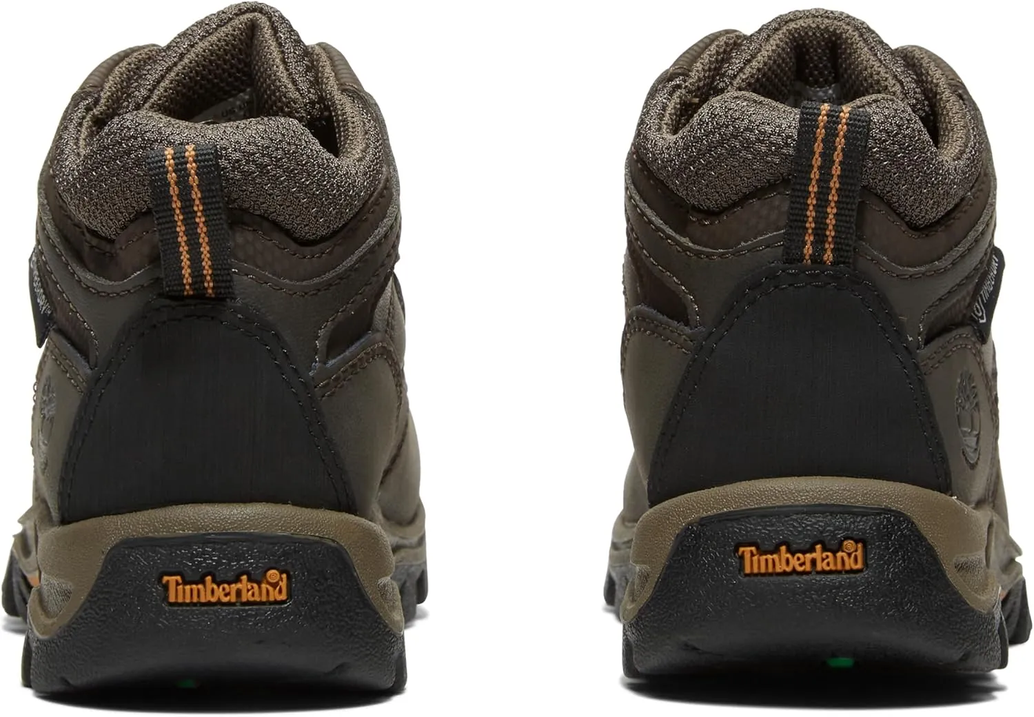 Timberland Unisex-Child Mt. Maddsen Waterproof Mid Hiking Boot