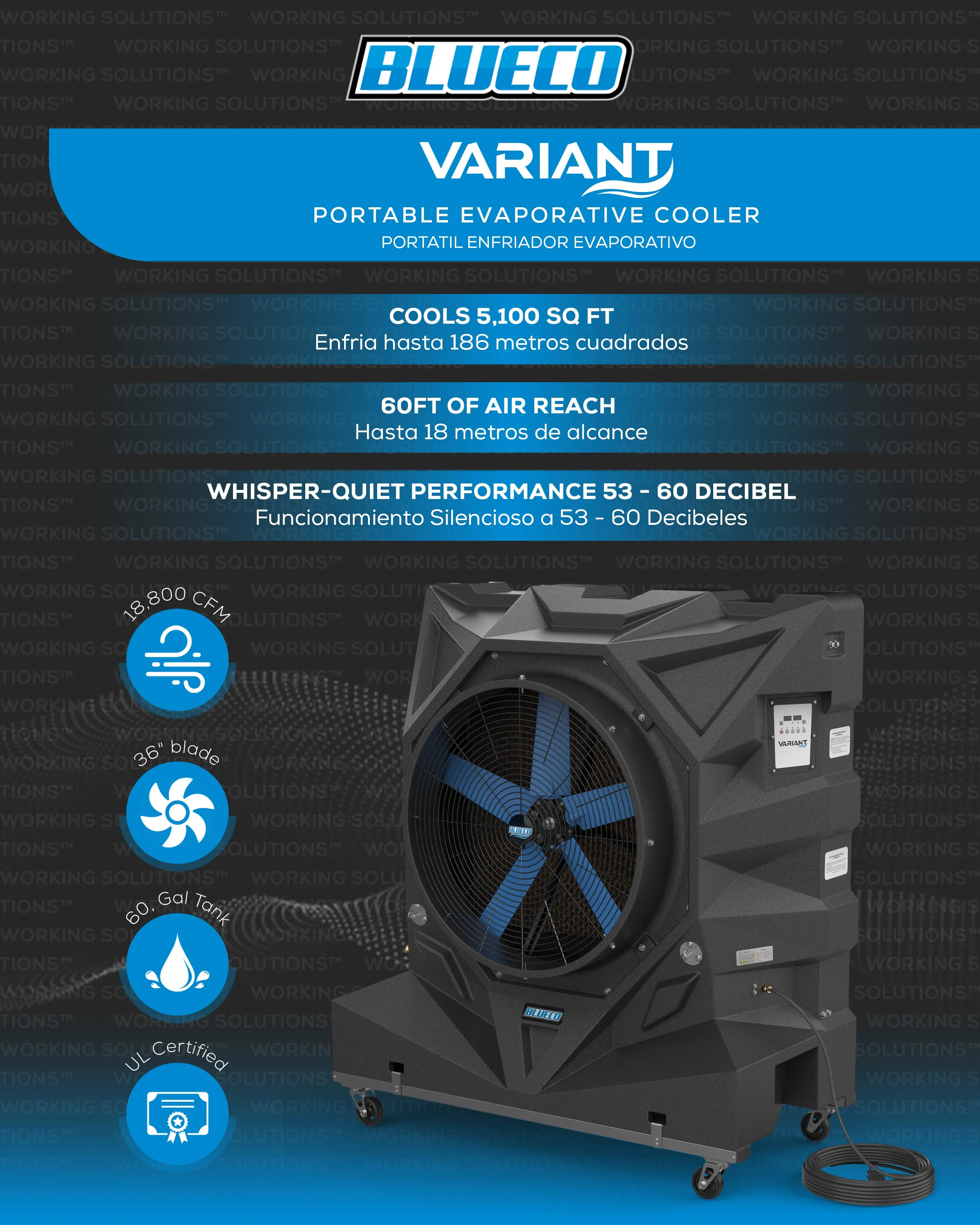 VARIANT-36