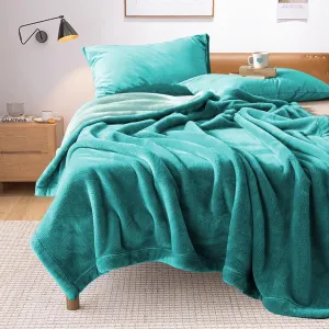 YISURE Queen Size Waterproof Blanket for Bed, 80"x60", Comfort, Reversible & Washable for Couch Sofa Bed (Aqua/Turquoise)