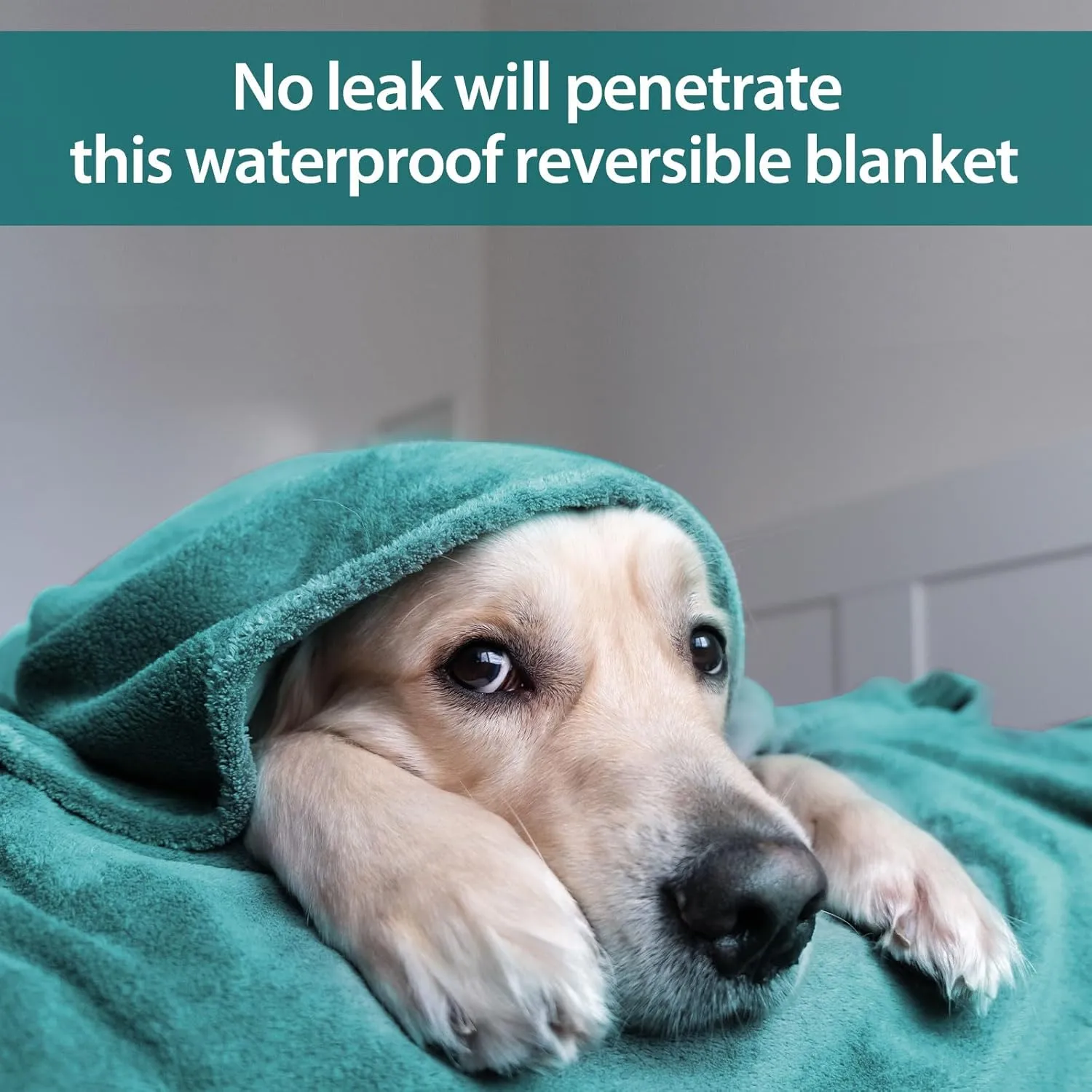 YISURE Queen Size Waterproof Blanket for Bed, 80"x60", Comfort, Reversible & Washable for Couch Sofa Bed (Aqua/Turquoise)
