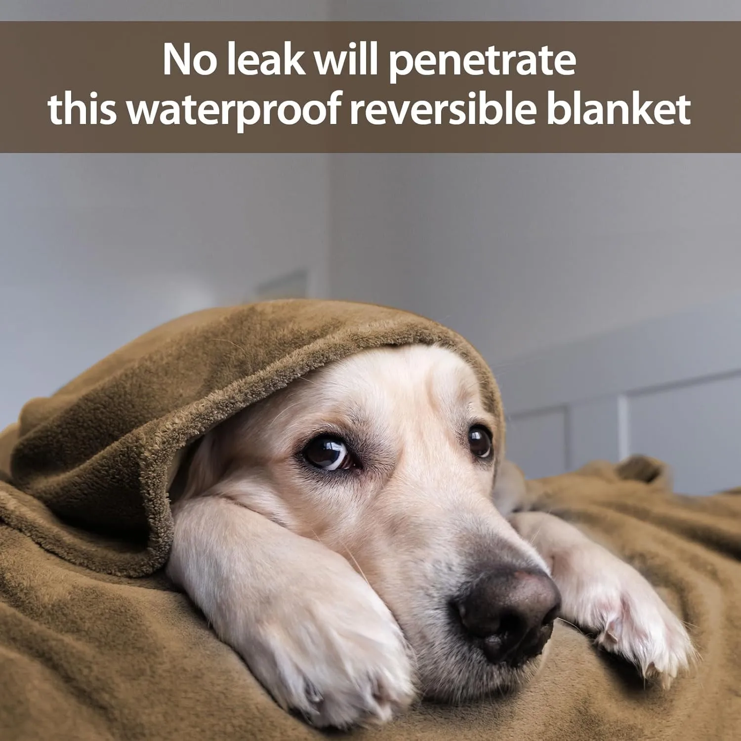 YISURE Waterproof Blanket for Couples, 80"x60" Queen Size Tan Water Proof and Stain Proof Blanket for Bed, Washable, Reversible & Reusable (Brown/Tan)